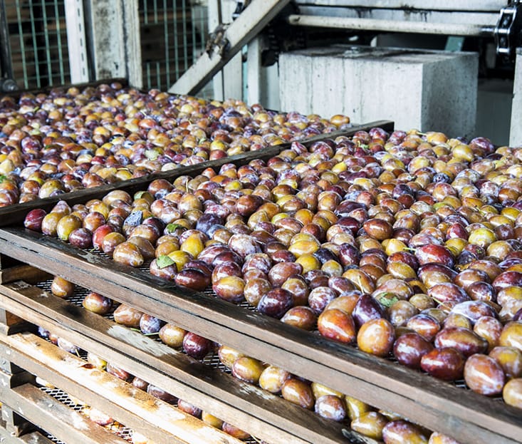 produce_2